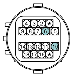 G12932996
