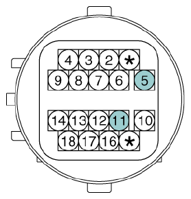 G12933009