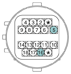 G12933022
