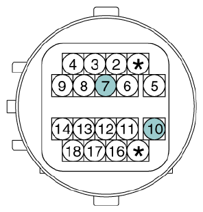 G12933035