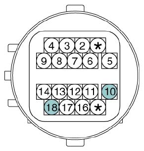 G12933061