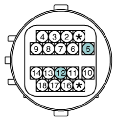 G12933074