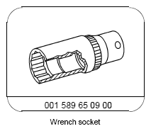G12933281