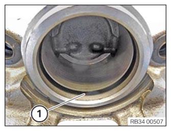 G12955533