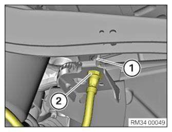 G12955569
