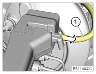 G12955585