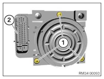 G12955647