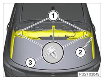 G12956921