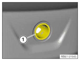 G12959039