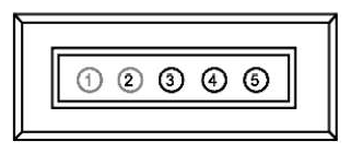 G12970651