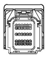 G12970698