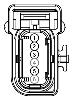 G12974383