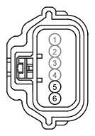 G12974389
