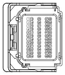 G12974411