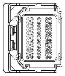 G12974430