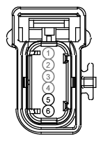G12974432