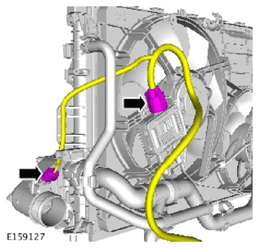 G13003212