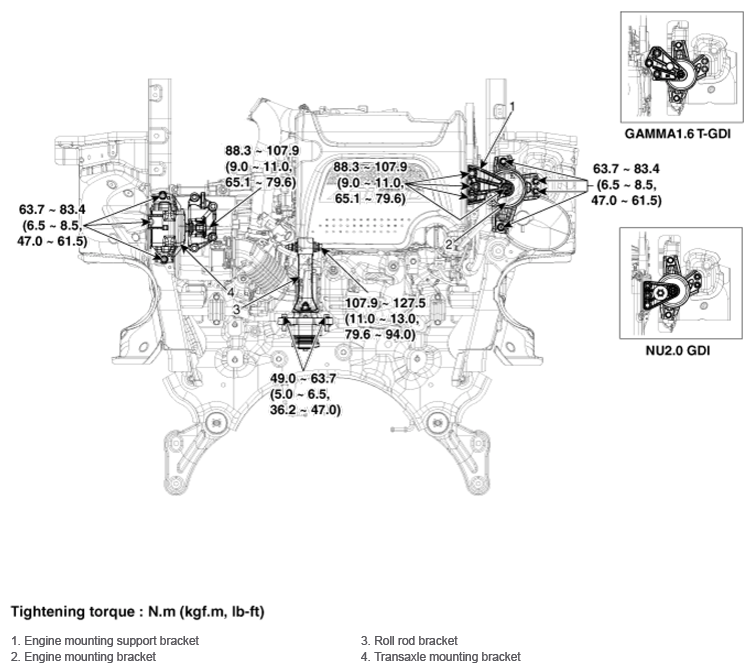 G13016569