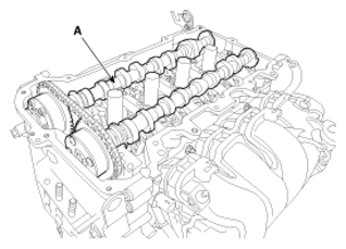 G13016675