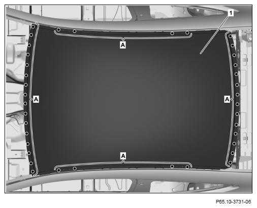 G13023553