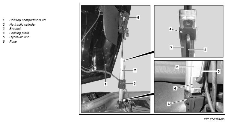 G13023819