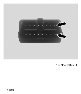 G13025055