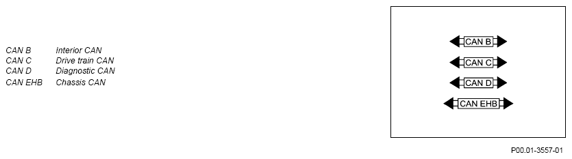 G13025073