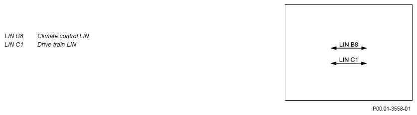 G13025074