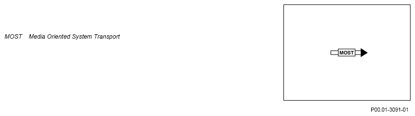 G13025075