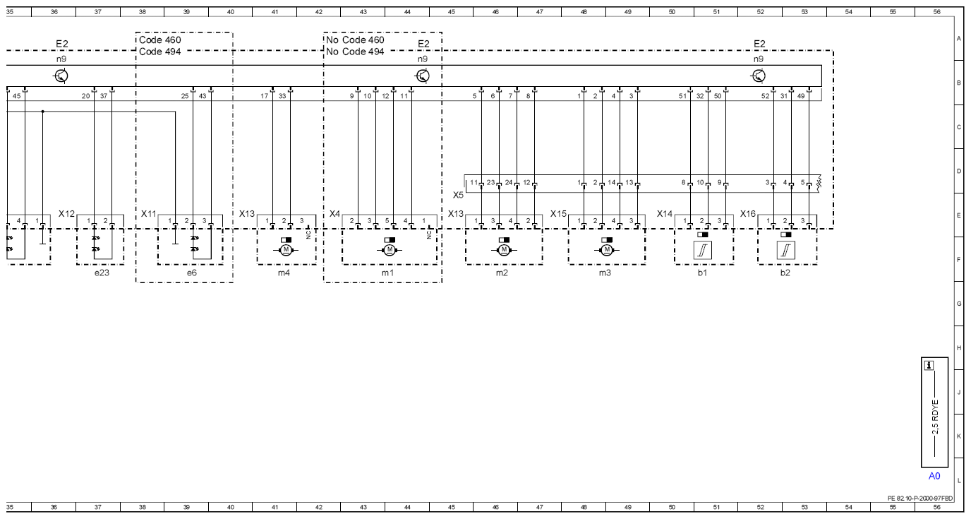 G13025494