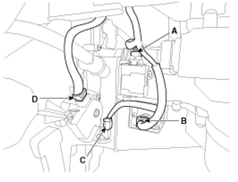 G13045997