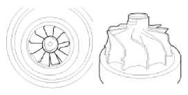 G13052256