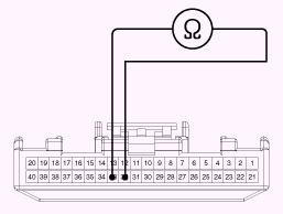 G13053509