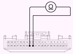 G13053510