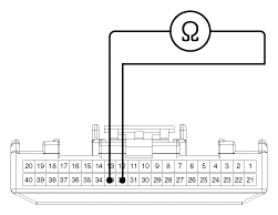 G13053564