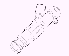G13055563