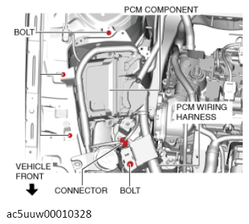 G13107279