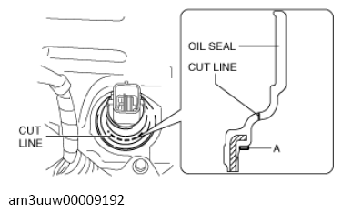 G13112382