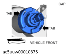 G13112884