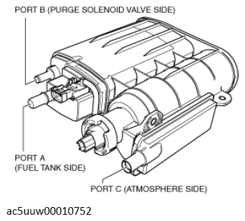 G13112886