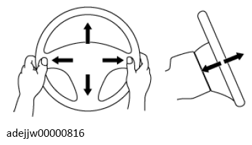 G13113174