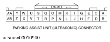 G13115661