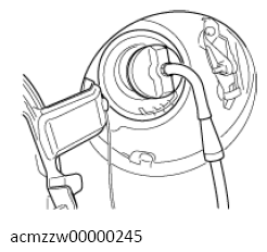 G13118863