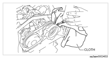 G13174384