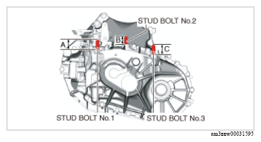 G13174555