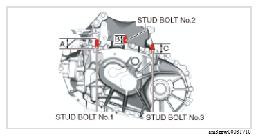 G13174566