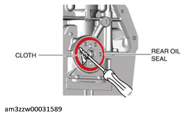 G13174658