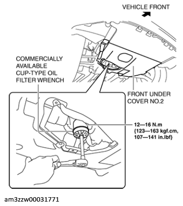 G13174794
