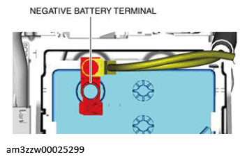G13175313