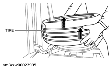 G13175608